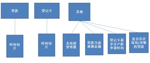 二代征信衍生變量與CSDN數據處理服務